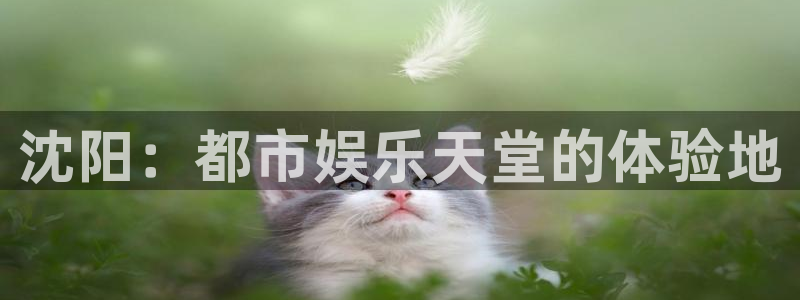 新时代e支部网页入口：沈阳：都市娱乐天堂的体验地